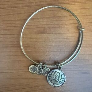 Alex and Ani Brass Bangle Bracelet